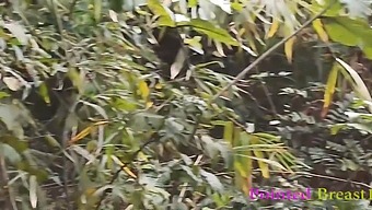 A Wild Encounter In The Countryside As A Passionate Lover Drills His Ex-Girlfriend Relentlessly To Climax